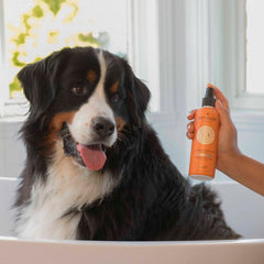 Pet Detangler - Anti-itching Lavender-8 FL. OZ.